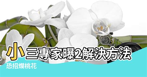 假花 爛桃花|風水6禁忌易招爛桃花！這格局恐夫妻失和、外遇變多